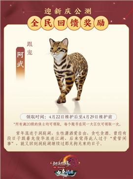 天龙八部长生诀私服